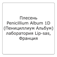 Плесень Penicillium Album (Пенициллиум Альбум) (1D) 